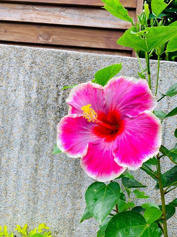 Jifun Flower Meanings Ji'an Exterior foto