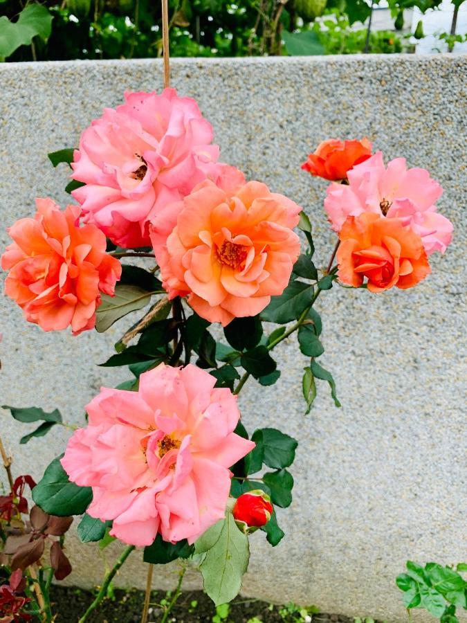 Jifun Flower Meanings Ji'an Exterior foto